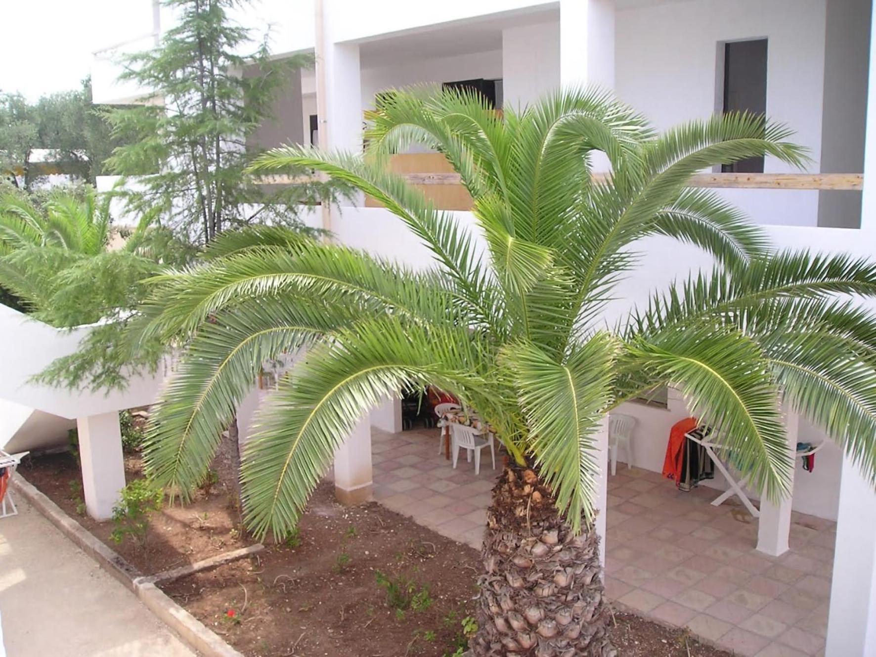 Residence Baia Del Gallo Vieste Kültér fotó